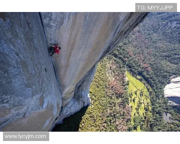 深圳攀岩队强势登顶最新攀岩力量排行榜前十名解析